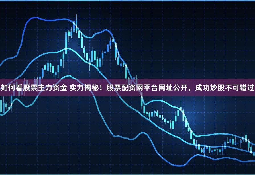 如何看股票主力资金 实力揭秘！股票配资网平台网址公开，成功炒股不可错过